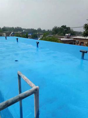 安建江城 湖北地區(qū)橋梁與管道工程的防水技術實踐與展望